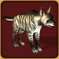 File:HyenaStriped Adult F.jpg