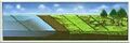 Thumbnail for version as of 21:20, March 15, 2011