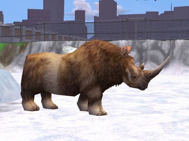 File:Woolly Rhinoceros.jpg