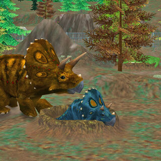 Triceratops | Zoo Tycoon Wiki | FANDOM powered by Wikia