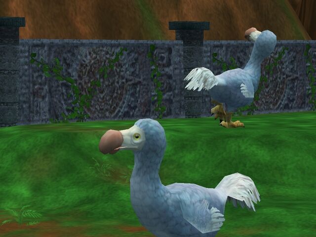 File:Dodo jungle.jpg