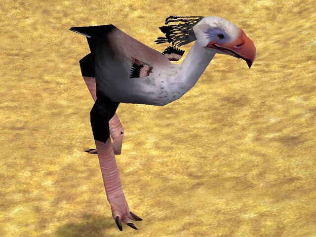 File:Phorusrhacos.jpg