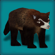 CoatiAvatar