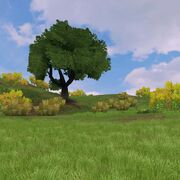 Preview temperategrassland