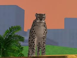 File:Clouded Leopard.jpg