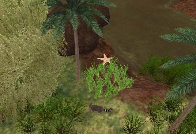 File:SaltMarshBiome.jpg