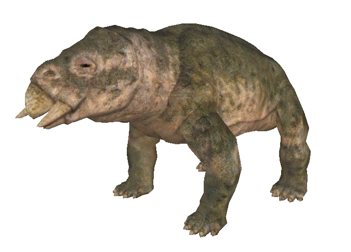 Placerias | Zoo Tycoon Wiki | FANDOM powered by Wikia