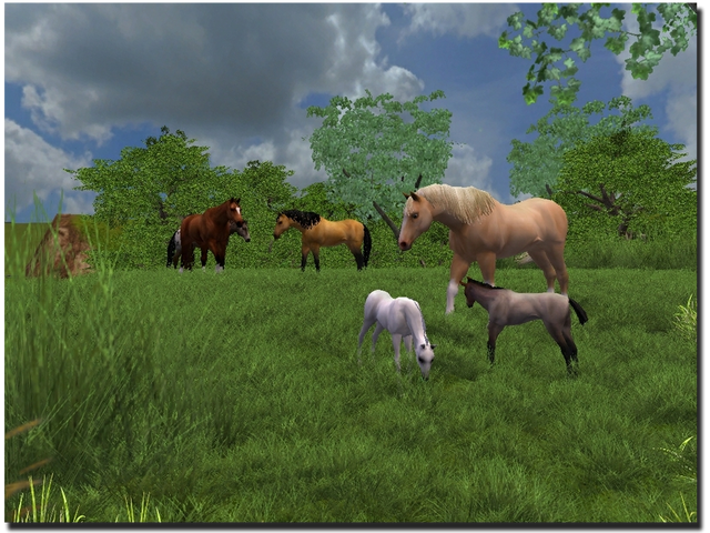 Zoo tycoon 2 american mustang download Zoo tycoon 2 american mustang download