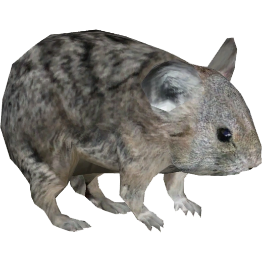 American Pika The ZT2 Round Table