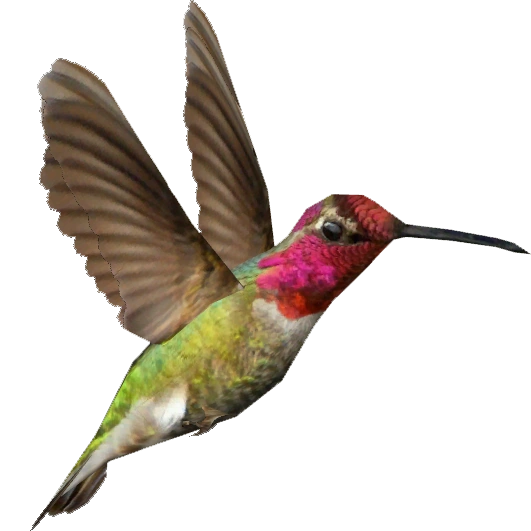 latest?cb=20160521142538