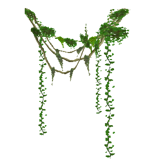 Image - Vines.png | ZT2 Download Library Wiki | FANDOM powered by Wikia