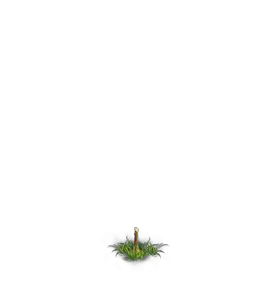 File:Oak Tree 5 (Stump).png