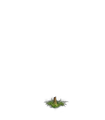 Thumbnail for version as of 04:56, January 12, 2013