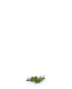 File:Tree 4 (Stump).png
